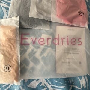 Everdries Leakproof High Waisted  Briefs